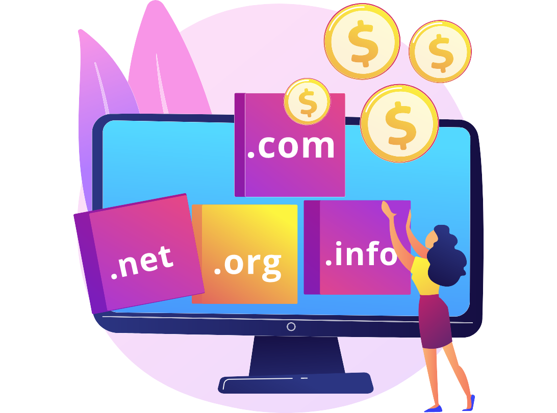 Domain & Web Hosting